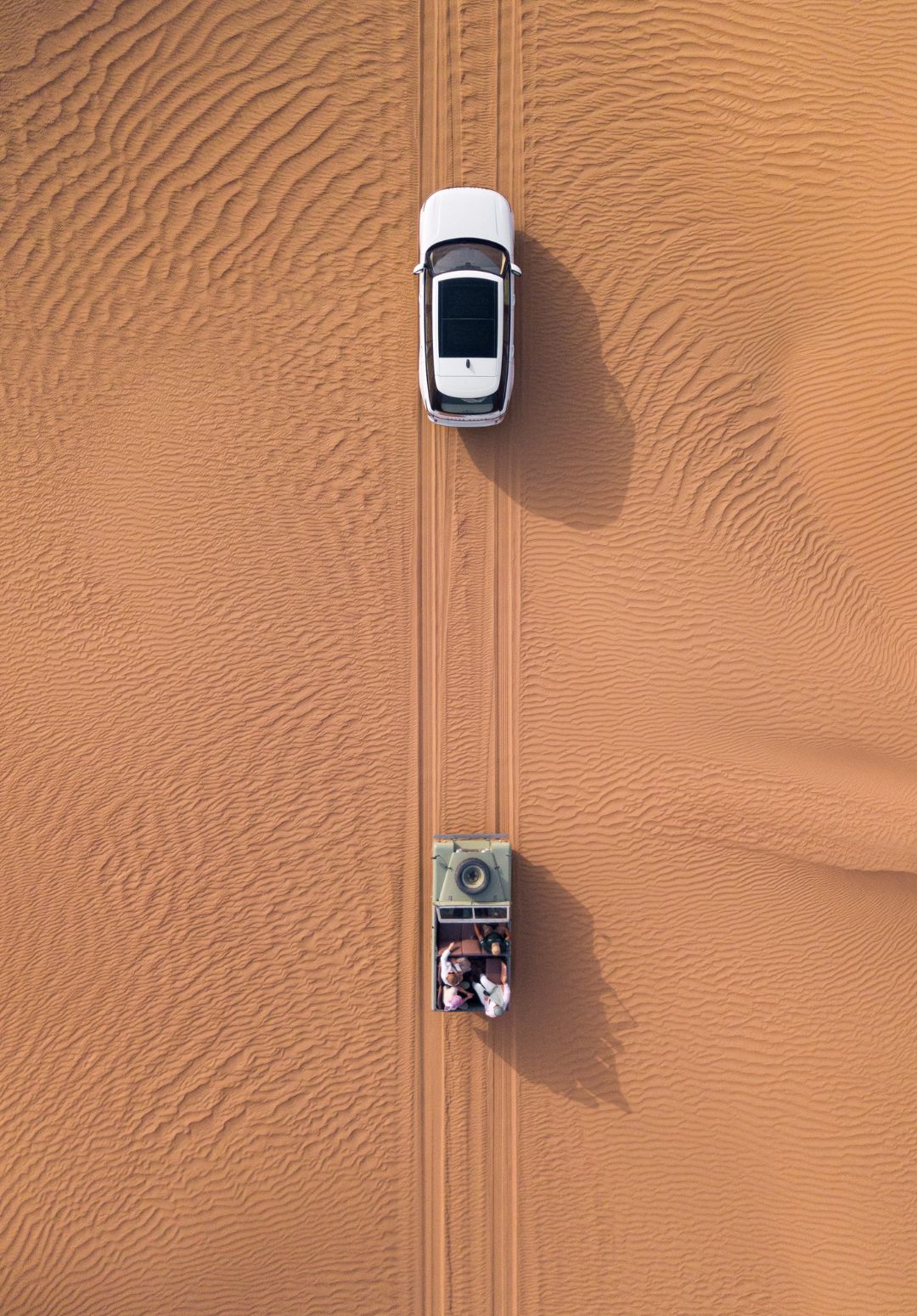 Morning Or Evening Desert Safari? Which Adventure Is Right For Me?