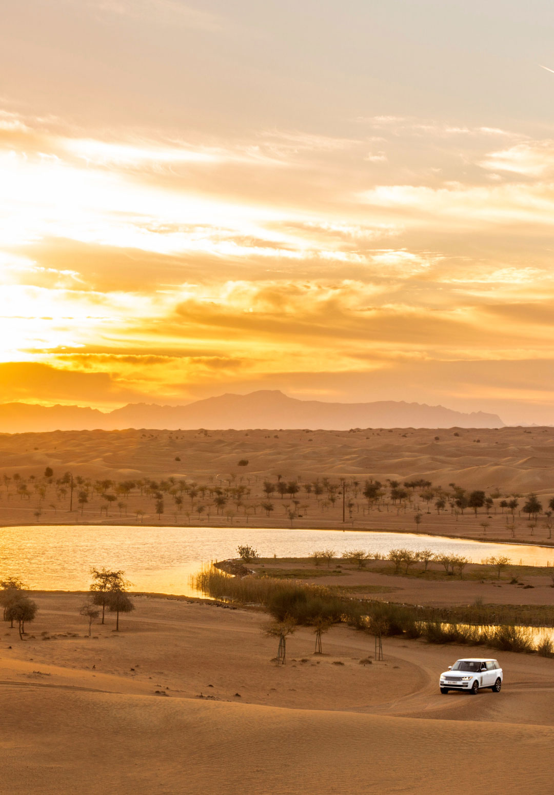The most Instagrammable moments on your Platinum Desert Safari