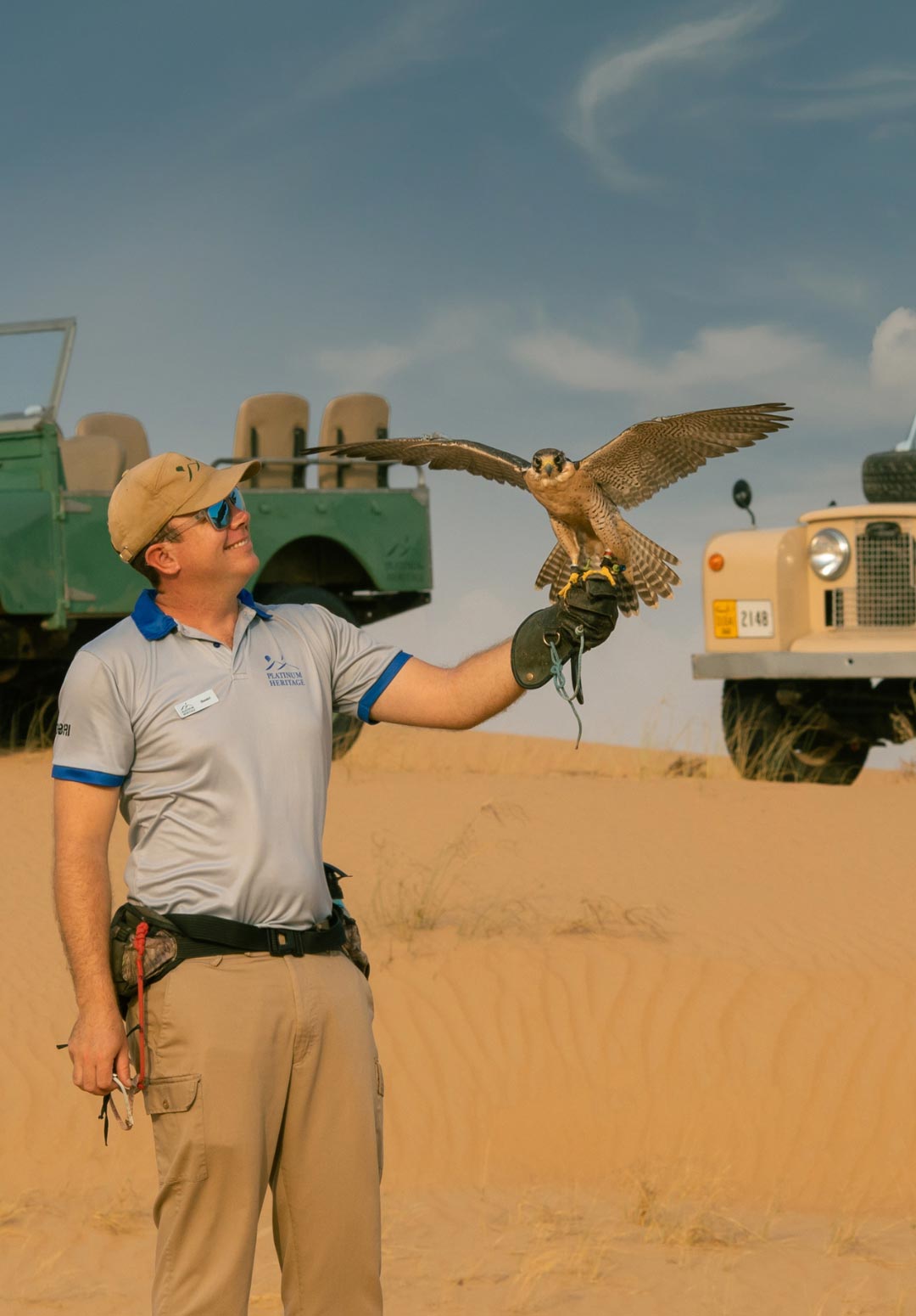 Dubai Falcon Shows – Everything you need to know