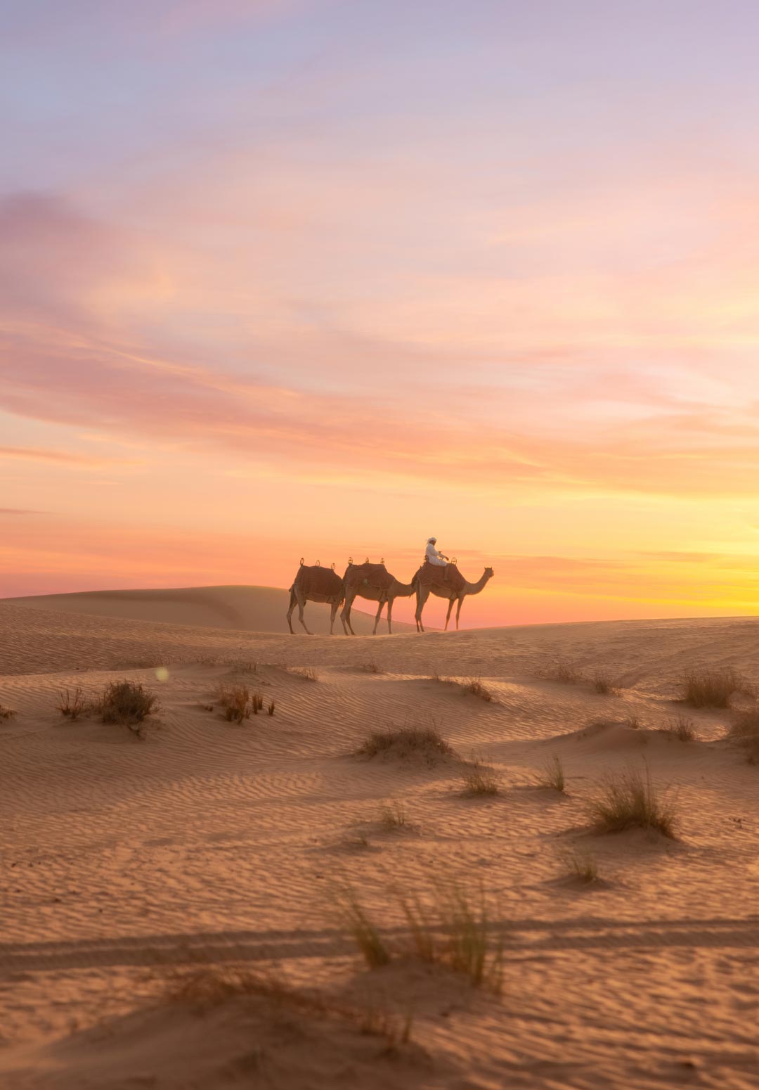 Where can I explore the history and culture of Dubai?