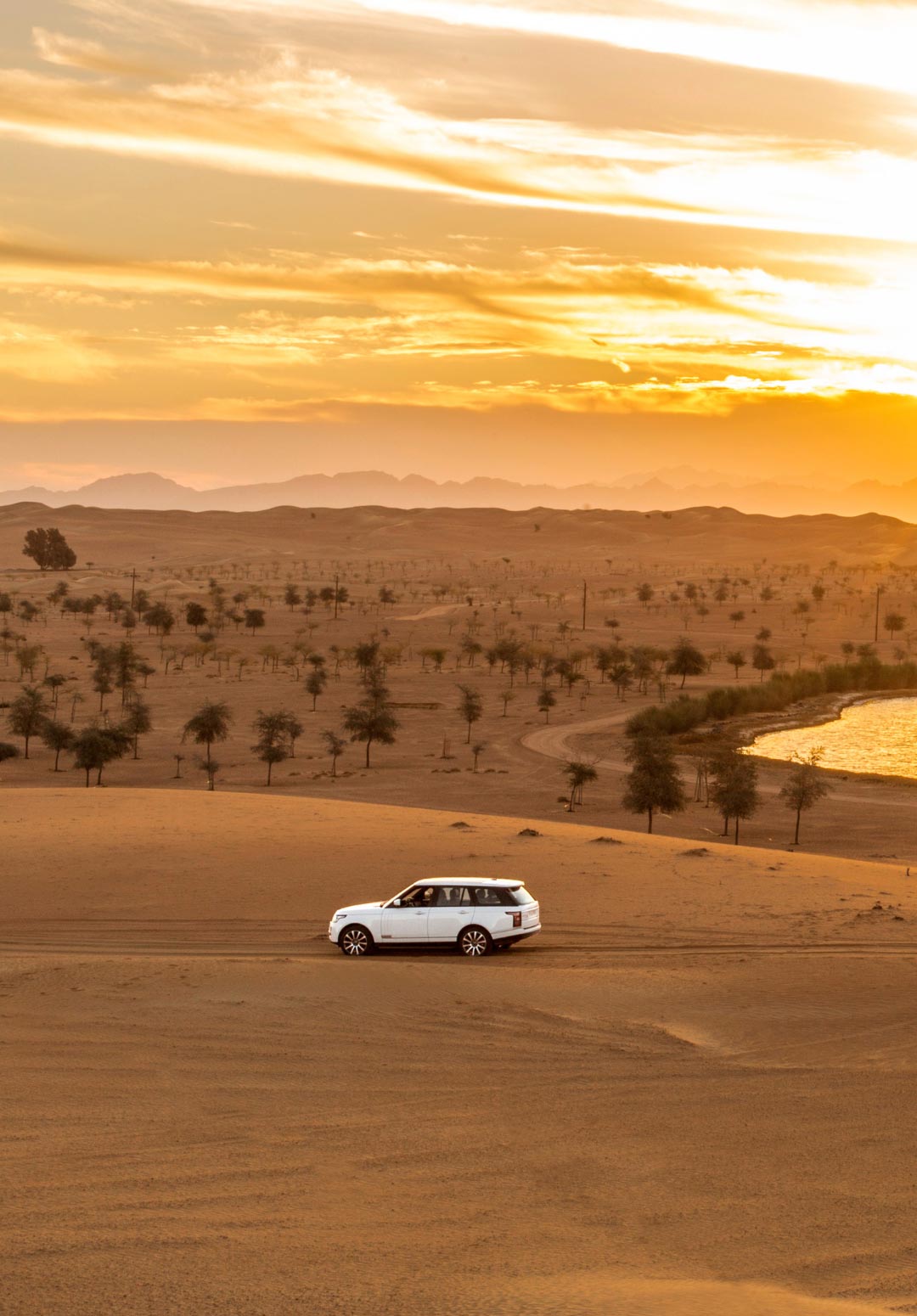 The Top 10 Luxury Activities in Dubai (if you’re a Billionaire)