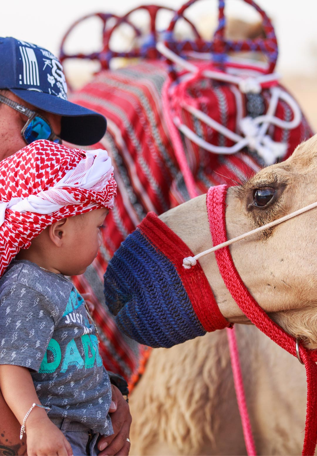 10 things you need to know about MERS and Desert Safaris