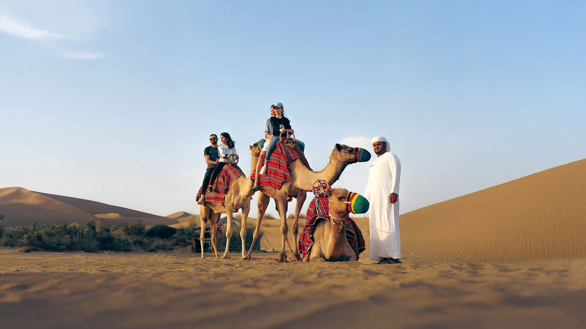 Tourisme éthique avec les animaux à Dubaï